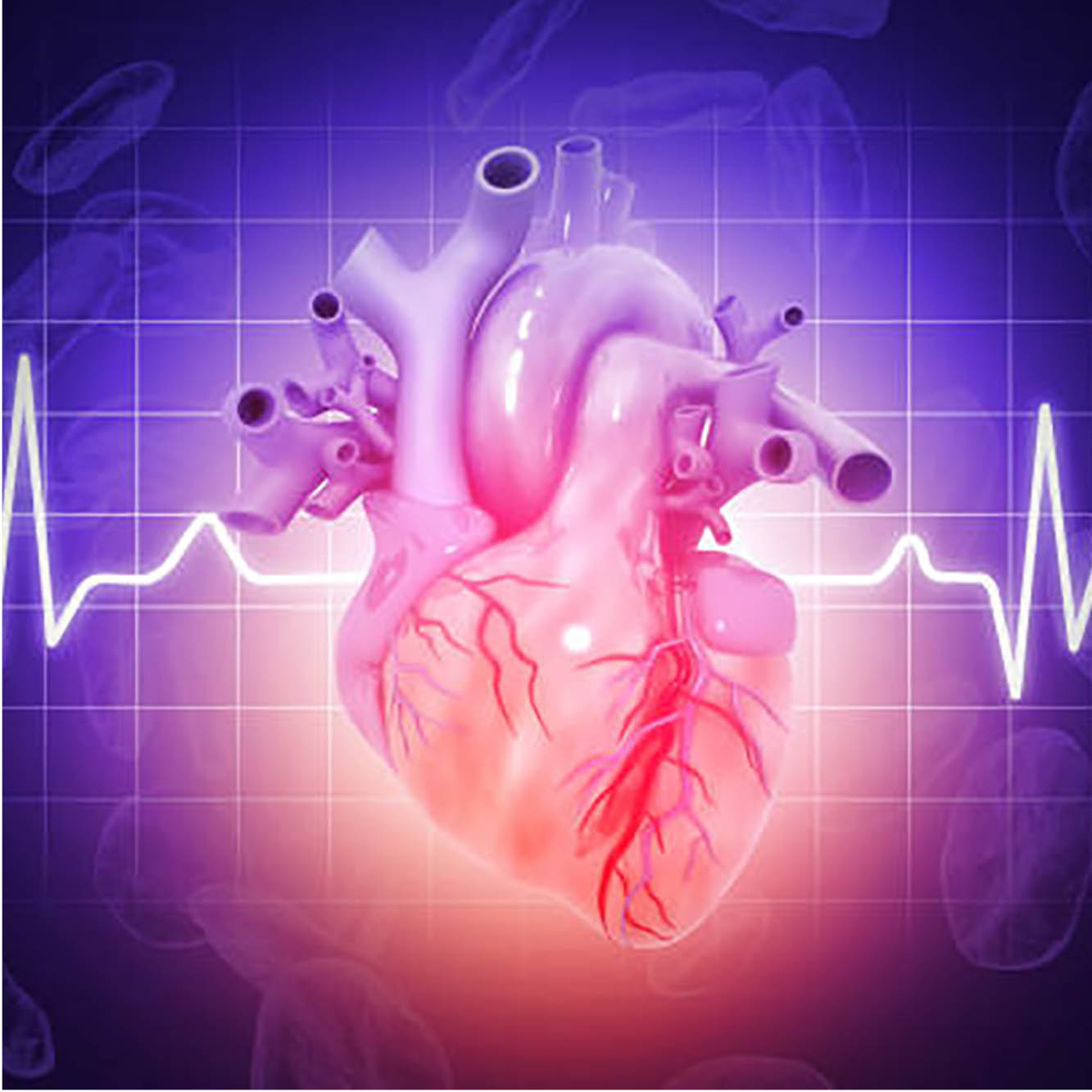 Advances and Essentials in Cardiovascular Disease 2026 Conference Banner